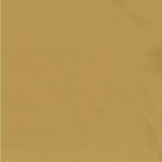 Saigon Pale Gold by Norbar Fabric SAIGON 60% COTTON 40% POLYESTER TAIWAN 9,000 WYZENBEEK </p><p>Repeat: 54" - Fabric Carolina -
