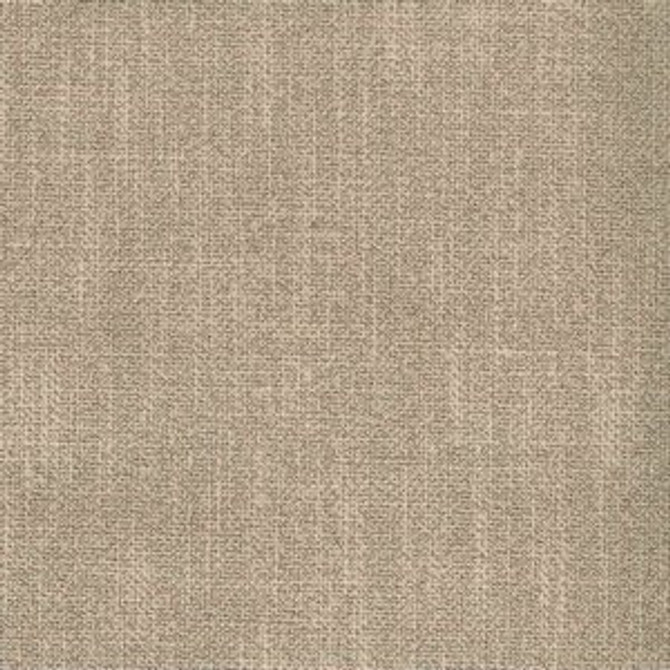 Salisbury Driftwood by Norbar Fabric TUXEDO 100% POLYESTER CHINA 55 - Fabric Carolina -