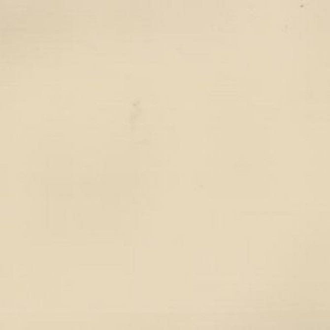 Scranton Buff by Norbar Fabric 100% POLY VINYL CHLORIDE CHINA 54" - Fabric Carolina -