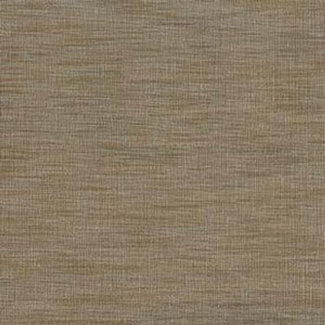 Shasta Tea Leaf 865 by Norbar Fabric 75% POLYESTER 25% VISCOSE </p><p>Repeat: 54" - Fabric Carolina -
