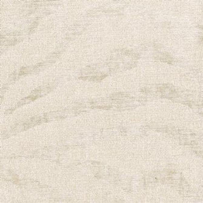 Shield Sugarcane 003 by Norbar Fabric PIAZZA 100% POLYESTER CHINA 51,000 WYZENBEEK </p><p>Repeat: 25 1/4"V 27"H 54 - Fabric Carolina -