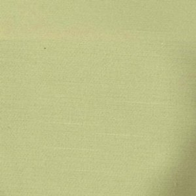 Squire Spearmint by Norbar Fabric SQUIRE 60% COTTON 40% POLYESTER 15,000 WYZENBEEK </p><p>Repeat: 56" - Fabric Carolina -