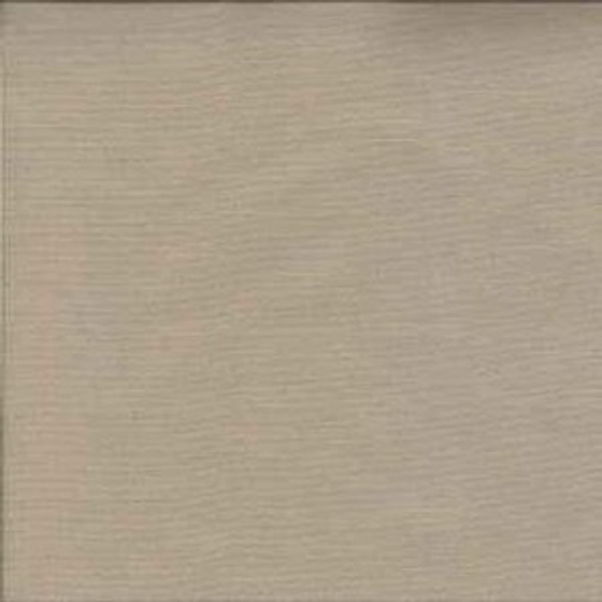 Studio Putty by Norbar Fabric 60% COTTON 40% POLYESTER TAIWAN 56" - Fabric Carolina -