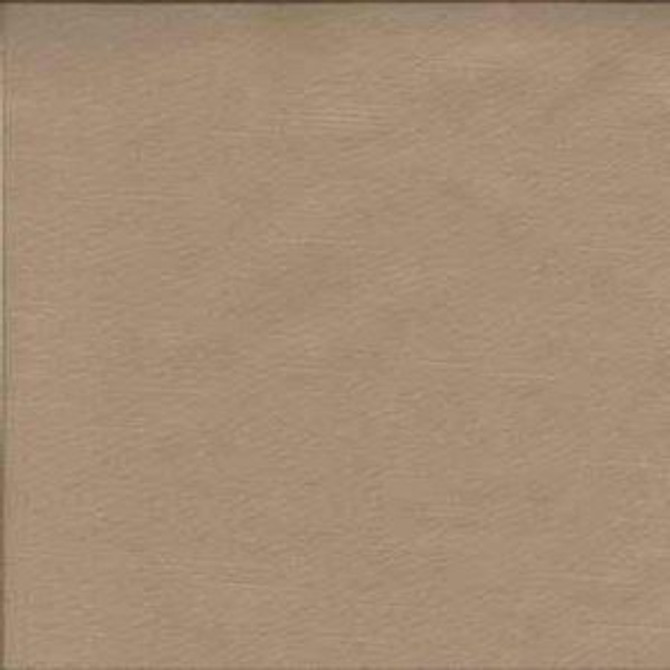 Studio Shadow by Norbar Fabric STUDIO 60% COTTON 40% POLYESTER TAIWAN 9,000 WYZENBEEK 56" - Fabric Carolina -