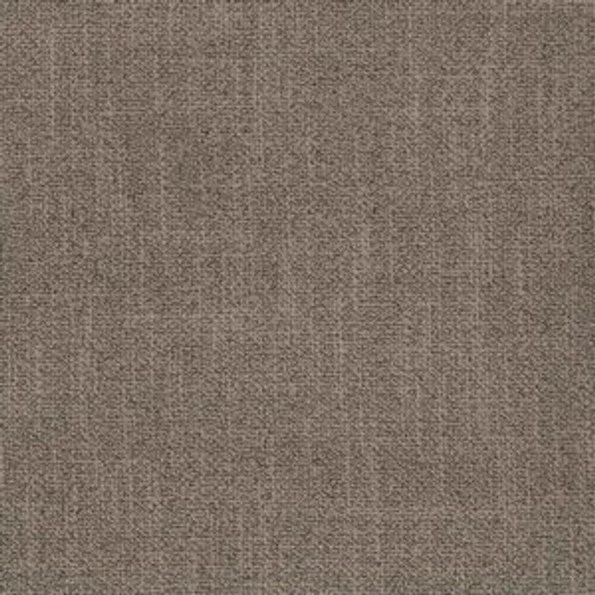 Taboo Pewter by Norbar Fabric TUXEDO 82% POLYESTER 18% RAYON CHINA 55 - Fabric Carolina -