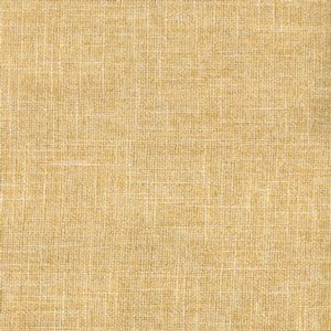 Taboo Saffron by Norbar Fabric TUXEDO 82% POLYESTER 18% RAYON CHINA 55 - Fabric Carolina -