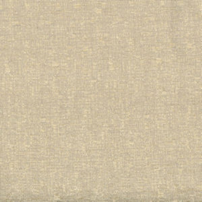 Tarpon Conch by Norbar Fabric BANYAN 87% POLYESTER 13% COTTON INDIA 15,000 WYZENBEEK 54 - Fabric Carolina -