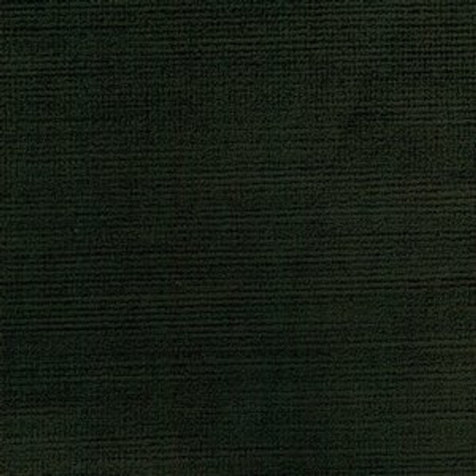 Tioga Loden 337 by Norbar Fabric Color/GREEN-CITRUS CHINA 51,000 WYZENBEEK 55 - Fabric Carolina -