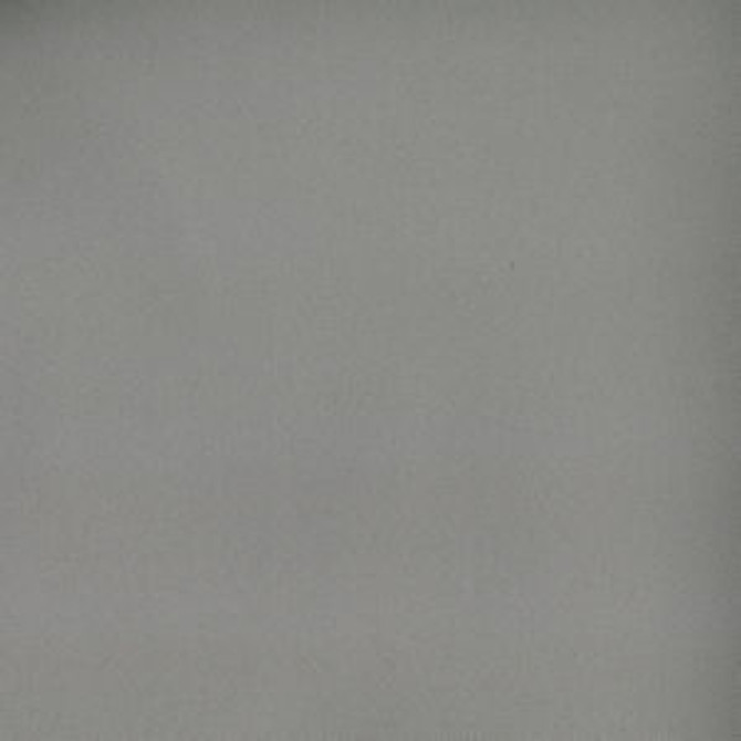 Toledo Stone 7566 by Norbar Fabric SUEDE 80 POLYESTER 15 COT 5 POLYURET 100,000 WYZENBEEK </p><p>Repeat: 55 - Fabric Carolina -