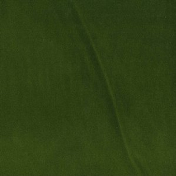 Trophy Kale 395 by Norbar Fabric TROPHY 93% COTTON 7% POLYESTER TURKEY 40,000 WYZENBEEK 54 - Fabric Carolina -