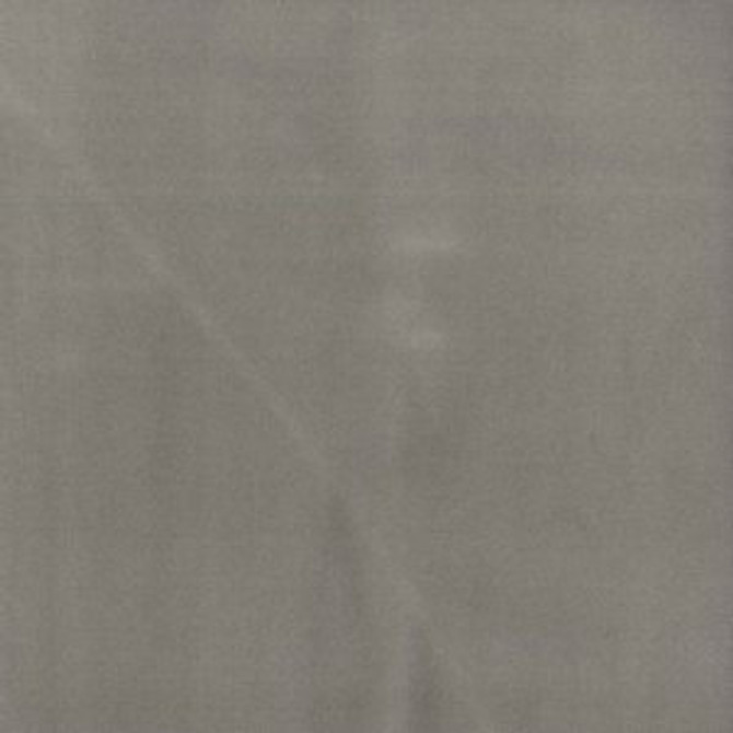 Trophy Mushroom 212 by Norbar Fabric 93% COTTON 7% POLYESTER TURKEY 54 - Fabric Carolina - Trophy Mushroom 212 by Norbar Fabric 93% COTTON 7% POLYESTER TURKEY 54 - Fabric Carolina -