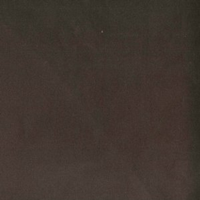 Trophy Truffle 897 by Norbar Fabric See Sample 93% COTTON 7% POLYESTER TURKEY 40,000 WYZENBEEK 54 - Fabric Carolina -