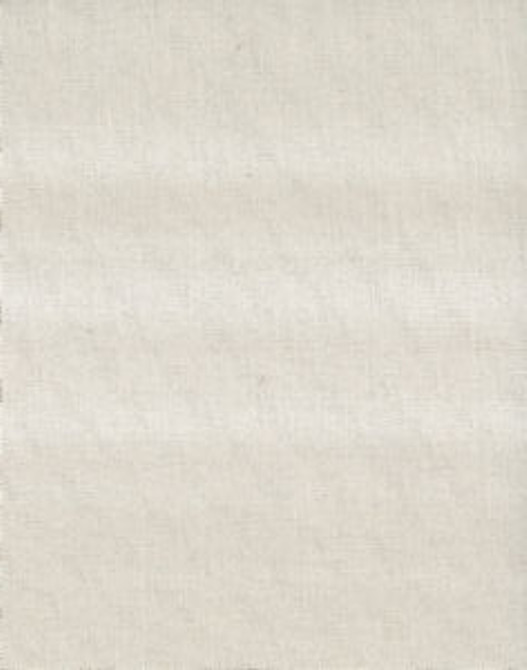 Valdez Cream by Norbar Fabric VALDEZ 100% POLYESTER INDIA 50,000 WYZENBEEK 55 - Fabric Carolina -