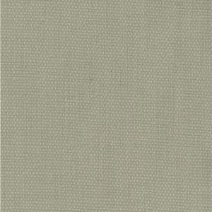Voyage Bamboo 219 by Norbar Fabric 100% COTTON 54" - Fabric Carolina -