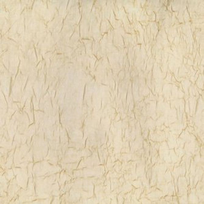 Wistful Champagne by Norbar Fabric SHEER IMAGE 100% POLYESTER TURKEY 114 - Fabric Carolina -