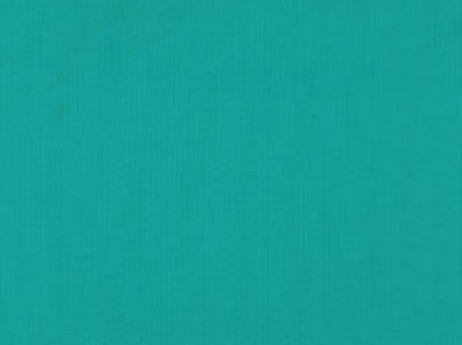 Zolic Caribe 542 by Norbar Fabric HEAT WAVE 100% POLYPROPYLENE TURKEY 54 - Fabric Carolina -