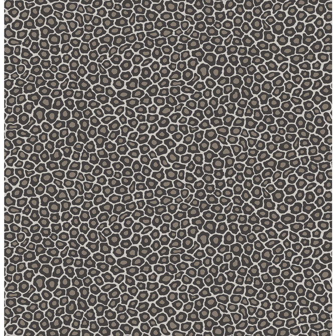 Senzo Spot Black & White by Cole & Son Wallcovering COLE & SON ARDMORE PAPER - 100% United Kingdom - Horizontal: - and Vertical: 10.4 20.5 - Fabric Carolina -