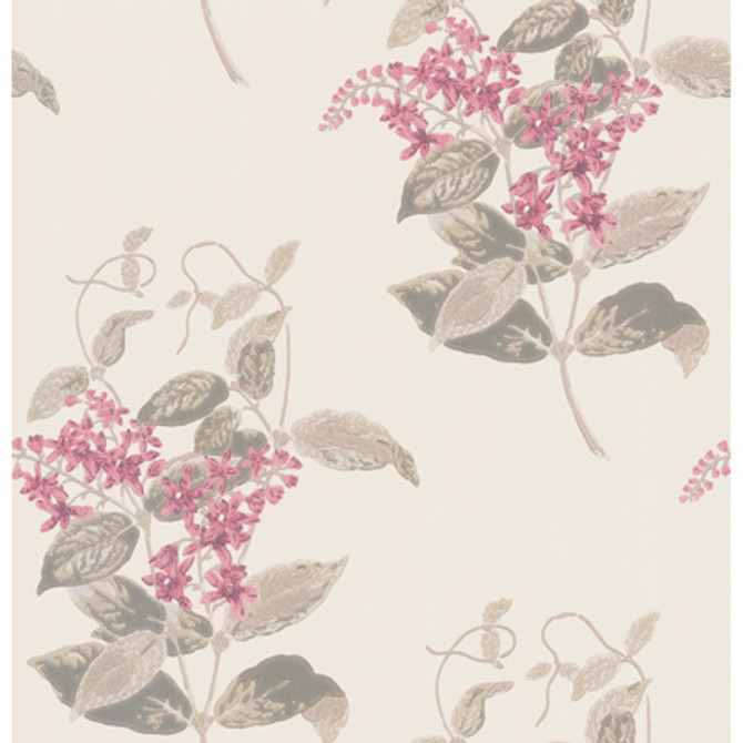 Madras Violet Pink by Cole & Son Wallcovering