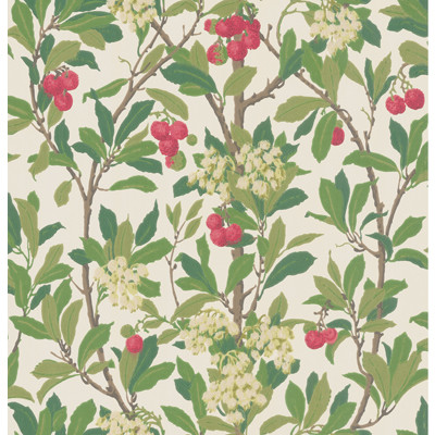 Strawberry Tree Scarlet & Ivory by Cole & Son Wallcovering