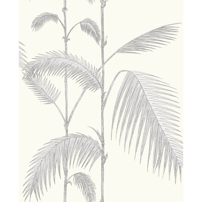 Palm Leaves Grey/White by Cole & Son Wallcovering CONTEMPORARY RESTYLED PAPER - 100% United Kingdom - Horizontal: 20.5 and Vertical: 28.3 20.5 - Fabric Carolina -
