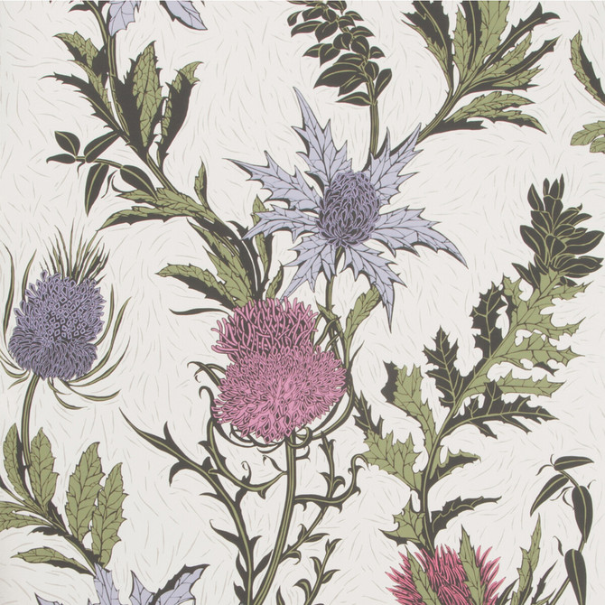 Thistle Lilac/Cerise/White by Cole & Son Wallcovering COLE & SON BOTANICAL BOTANICA PAPER - 100% United Kingdom Horizontal: and Vertical: 25.2 20.5 - Fabric Carolina -