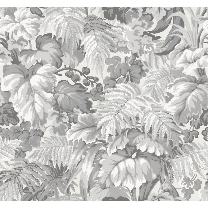 Royal Fernery Warm Grey by Cole & Son Wallcovering COLE & SON MARTYN LAWRENCE BULLARD PAPER - 100% United Kingdom - Horizontal: - and Vertical: 25.2 27 - Fabric Carolina -