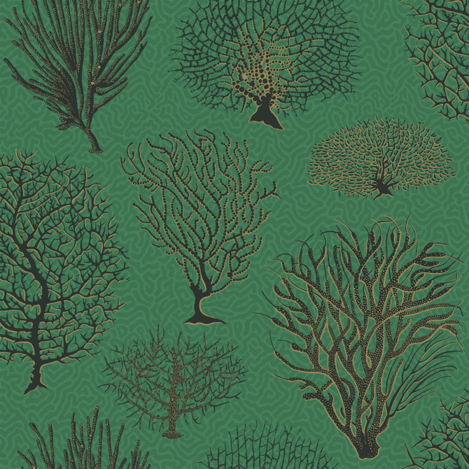 Seafern Emerald by Cole & Son Wallcovering