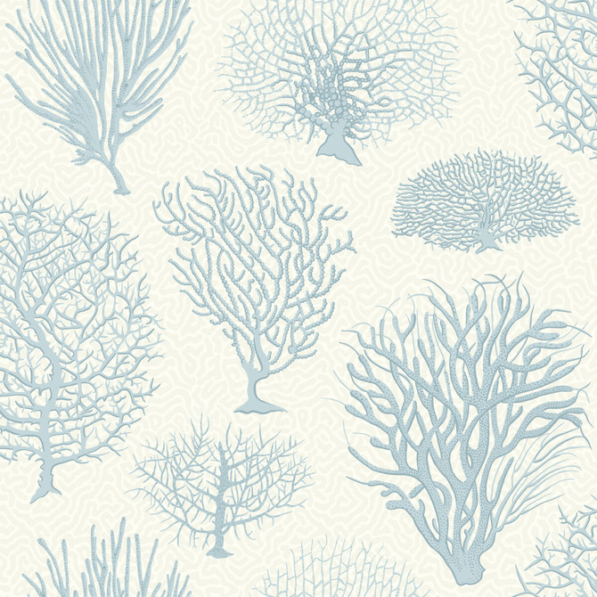 Seafern Blue by Cole & Son Wallcovering COLE & SON CURIO PAPER - 100% United Kingdom Horizontal: and Vertical: 20.5 20.5 - Fabric Carolina -