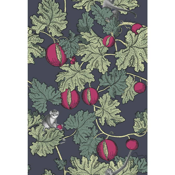 Frutto Proibito Ink & Magenta by Cole & Son Wallcovering COLE & SON FORNASETTI PAPER - 100% United Kingdom Horizontal: and Vertical: 30 20.5 - Fabric Carolina -