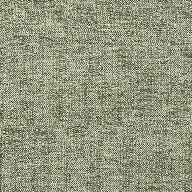 In Verde by Gaston Y Daniela Fabric GASTON LIBRERIA POLYOLEFIN FR - 100% Spain HEAVY Horizontal: 0 and Vertical: 0 55 - Fabric Carolina -