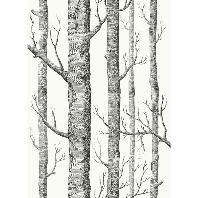 Woods Blk Wht by Cole & Son Fabric COLE & SON CONTEMPORARY FABRICS LINEN - 61%;COTTON - 29%;NYLON - 10% Italy HEAVY Horizontal: 26.75 and Vertical: 37.4 53.5 - Fabric Carolina -