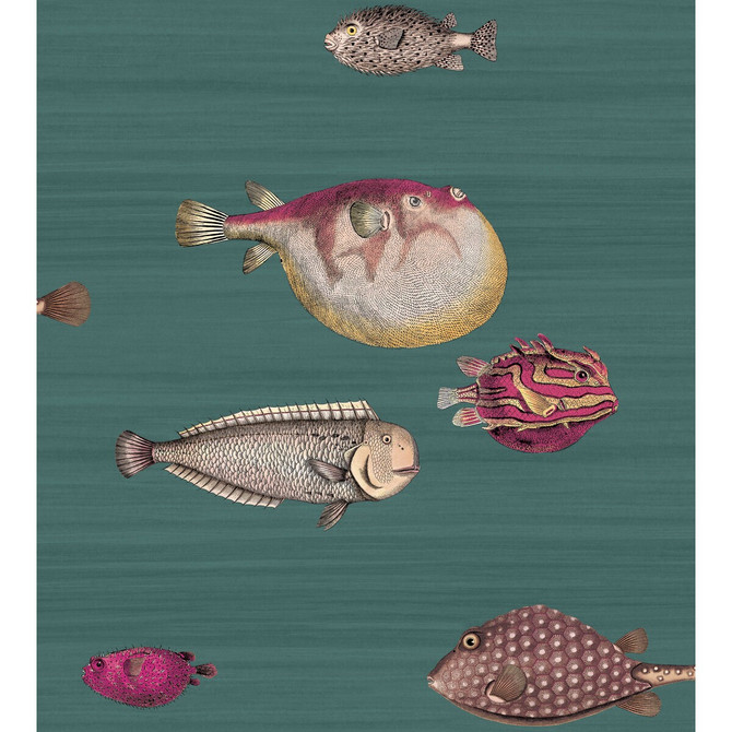 Acquario Viridian by Cole & Son Wallcovering COLE & SON FORNASETTI PAPER - 100% United Kingdom Horizontal: and Vertical: 30 27 - Fabric Carolina -