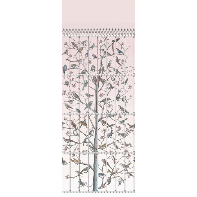 Uccelli Ballet Slipper by Cole & Son Wallcovering COLE & SON FORNASETTI PAPER - 100% United Kingdom Horizontal: 41 and Vertical: 110.2 41 - Fabric Carolina -