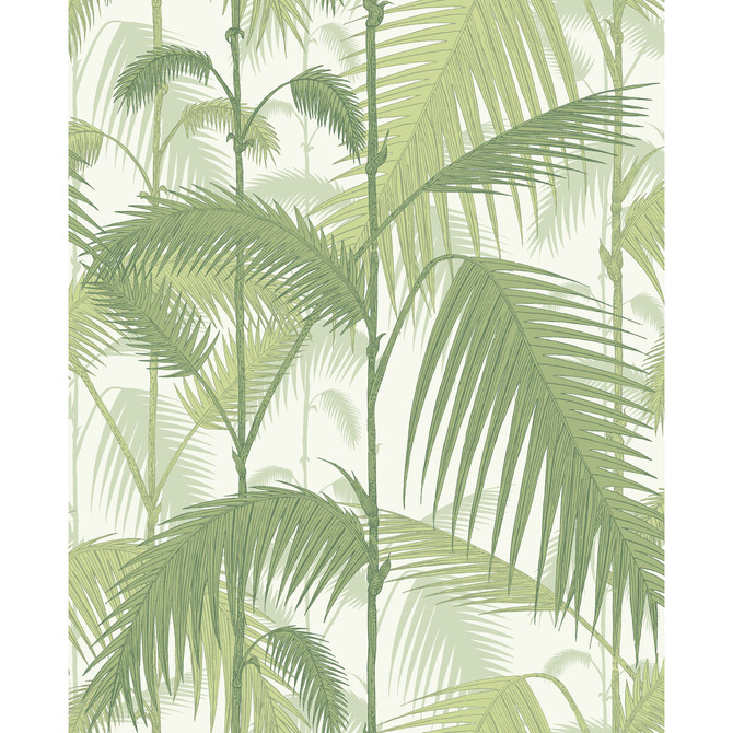 Palm Jungle Olive Gre/White by Cole & Son Wallcovering CONTEMPORARY RESTYLED PAPER - 100% United Kingdom - Horizontal: 20.5 and Vertical: 25 20.5 - Fabric Carolina -