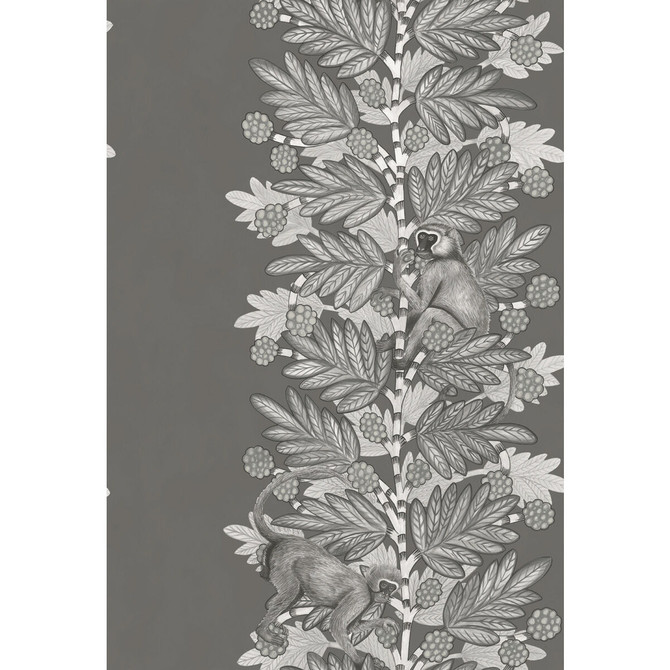 Acacia Charcoal & Silver by Cole & Son Wallcovering COLE & SON ARDMORE PAPER - 100% United Kingdom - Horizontal: - and Vertical: 30 20.5 - Fabric Carolina -
