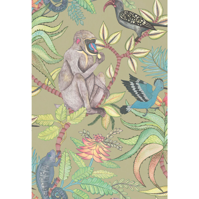 Savuti Khaki Multi by Cole & Son Wallcovering COLE & SON ARDMORE PAPER - 100% United Kingdom Horizontal: 20.5 and Vertical: 30 20.5 - Fabric Carolina -