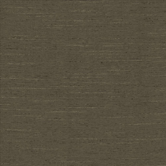 Adjoin Mocha by Kasmir Fabric 5170 100% Polyester
 INDIA 5,000 Wyzenbeek Double Rubs </p><p>Repeat: Horizontal: N/A and Vertical: N/A 54 - Fabric Carolina -