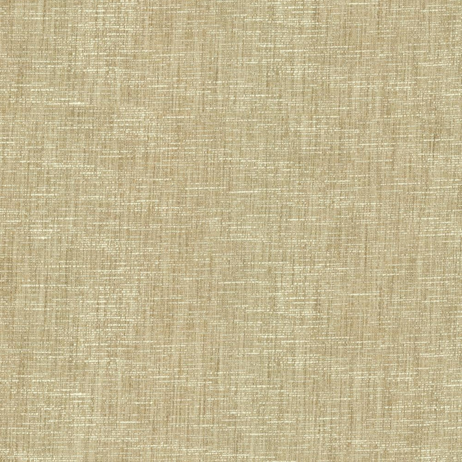 Beltran Fawn by Kasmir Fabric 5163 100% Polyester
 INDIA </p><p>Repeat: Horizontal: N/A and Vertical: N/A 54 - Fabric Carolina -