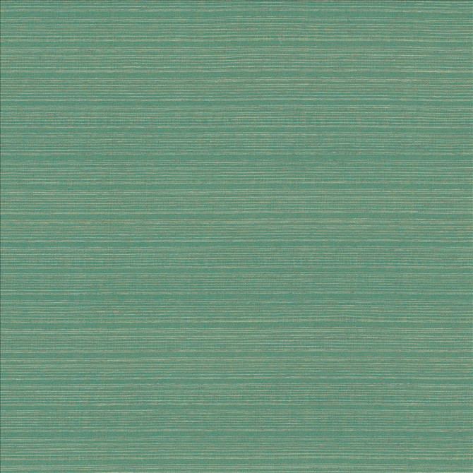 Burke Aquatic by Kasmir Fabric 5163 100% Polyester
 INDIA Not Tested </p><p>Repeat: Horizontal: N/A and Vertical: N/A 54 - Fabric Carolina -