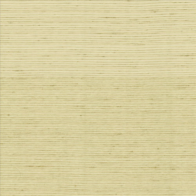 Burke Cotton by Kasmir Fabric 5163 100% Polyester
 INDIA Not Tested </p><p>Repeat: Horizontal: N/A and Vertical: N/A 54 - Fabric Carolina -