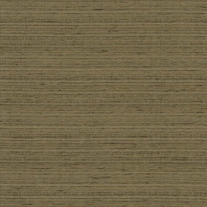 Burke Mineral by Kasmir Fabric 5163 100% Polyester
 INDIA Not Tested </p><p>Repeat: Horizontal: N/A and Vertical: N/A 54 - Fabric Carolina -