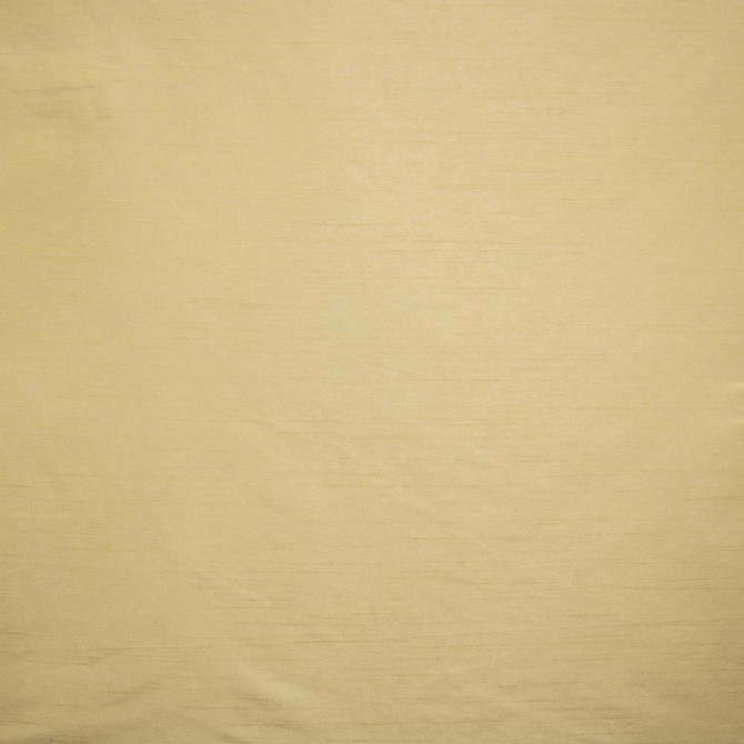 Complementary Driftwood by Kasmir Fabric 5168 100% Polyester
 INDIA </p><p>Repeat: Horizontal: N/A and Vertical: N/A 54 - Fabric Carolina -