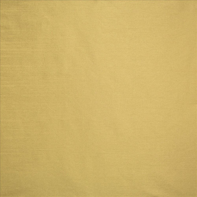Complementary Latte by Kasmir Fabric 5168 100% Polyester
 INDIA Not Tested </p><p>Repeat: Horizontal: N/A and Vertical: N/A 54 - Fabric Carolina -