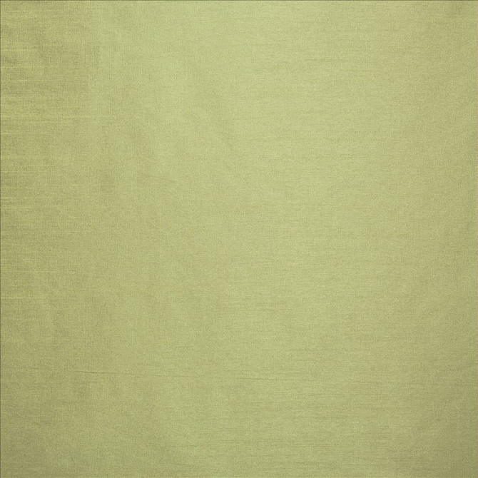 Complementary Stem by Kasmir Fabric 5168 100% Polyester
 INDIA Not Tested Horizontal: N/A and Vertical: N/A 54 - Fabric Carolina -