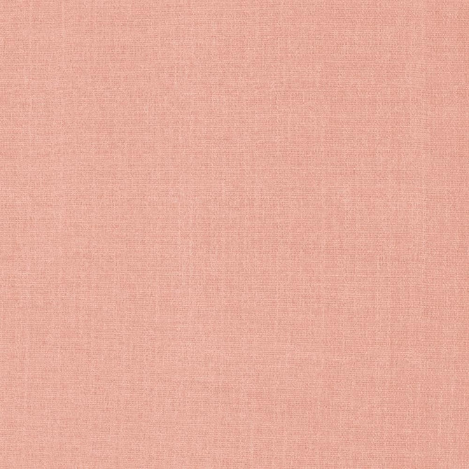 Flynn Blush by Kasmir Fabric 5164 91% Polyester
9% Nylon
 CHINA </p><p>Repeat: Horizontal: N/A and Vertical: N/A 54 - Fabric Carolina -