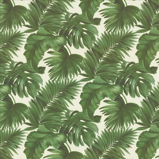 Keanu Palm 55 Moss by Kasmir Fabric 1453 65% Polyester
35% Cotton
 SPAIN </p><p>Repeat: Horizontal: 27 5/8 inches and Vertical: 24 4/8 inches 55 - Fabric Carolina -