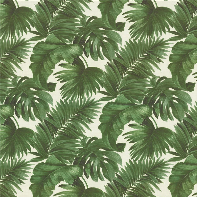 Keanu Palm 55 Moss by Kasmir Fabric 1453 65% Polyester
35% Cotton
 SPAIN 40,000 Martindale Cycles </p><p>Repeat: Horizontal: 27 5/8 inches and Vertical: 24 4/8 inches 55 - Fabric Carolina -