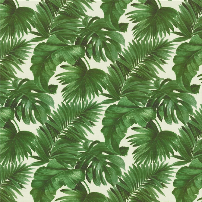 Keanu Palm 55 Moss by Kasmir Fabric 1453 65% Polyester
35% Cotton
 SPAIN </p><p>Repeat: Horizontal: 27 5/8 inches and Vertical: 24 4/8 inches 55 - Fabric Carolina -