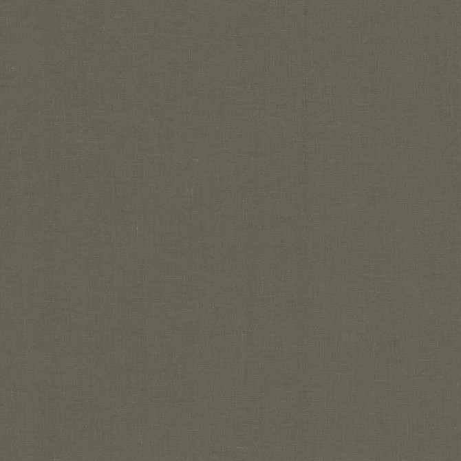 Lucille Grey by Kasmir Fabric 1459 100% Linen
 INDIA </p><p>Repeat: Horizontal: N/A and Vertical: N/A 54 - Fabric Carolina -