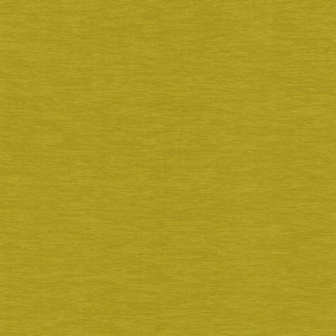 Lucinda Chartreuse by Kasmir Fabric 5166 72% Rayon
28% Polyester
 CHINA </p><p>Repeat: Horizontal: N/A and Vertical: N/A 54 - Fabric Carolina -